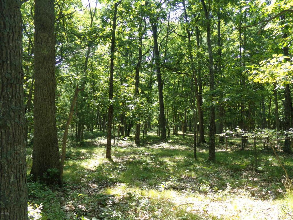 1580 Dexter Road - Photo 1