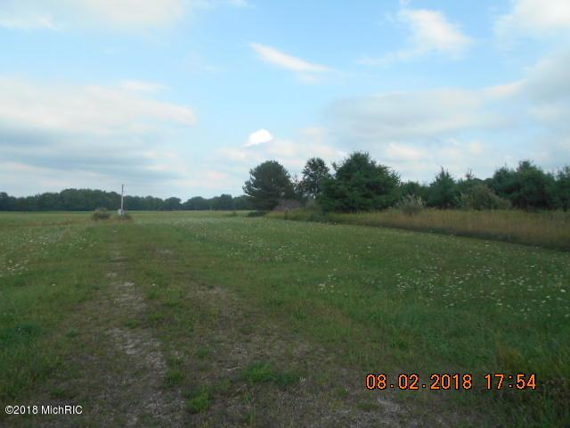 1446 Custer Road - Photo 1