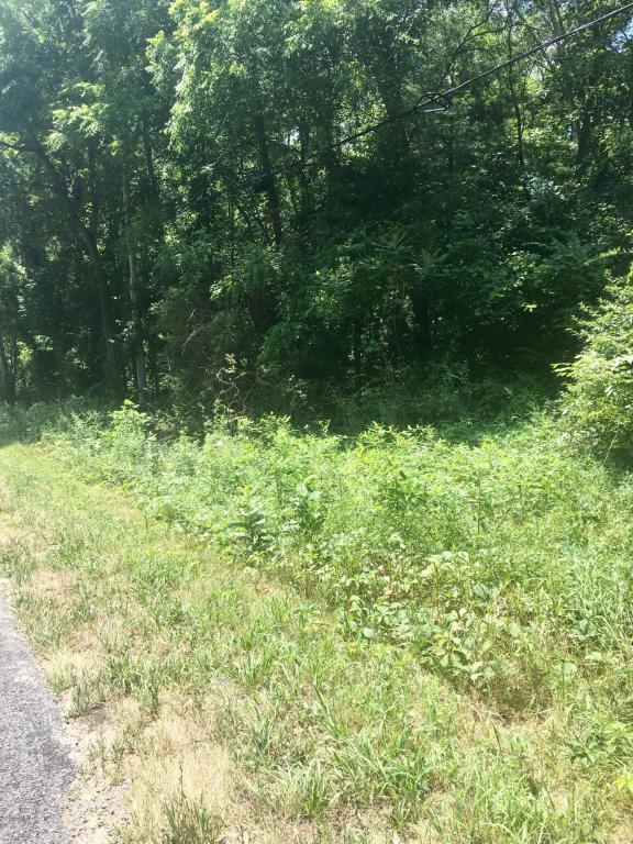 V/L West Gull Lake Drive - Photo 1
