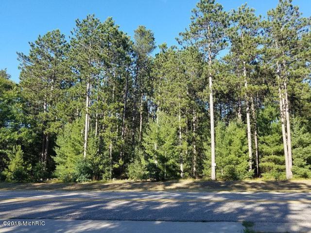 7524 Wiczer Drive - Photo 1