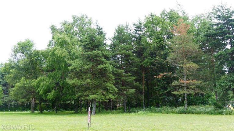 64665 Windrose Way - Photo 1