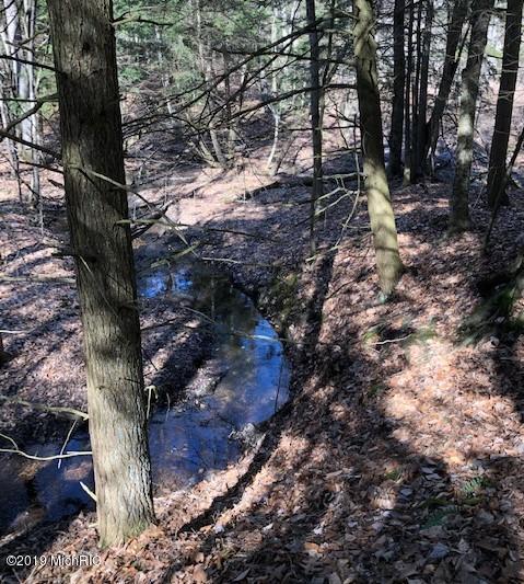VL 157th Avenue - Photo 1