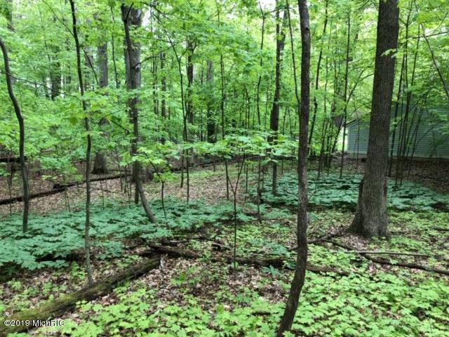 6968 Austhof Woods Drive - Photo 1