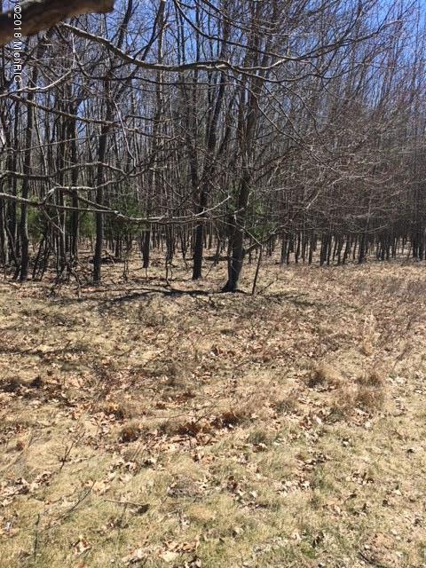 Lots 28 & 29 Diablo Rd - Photo 1
