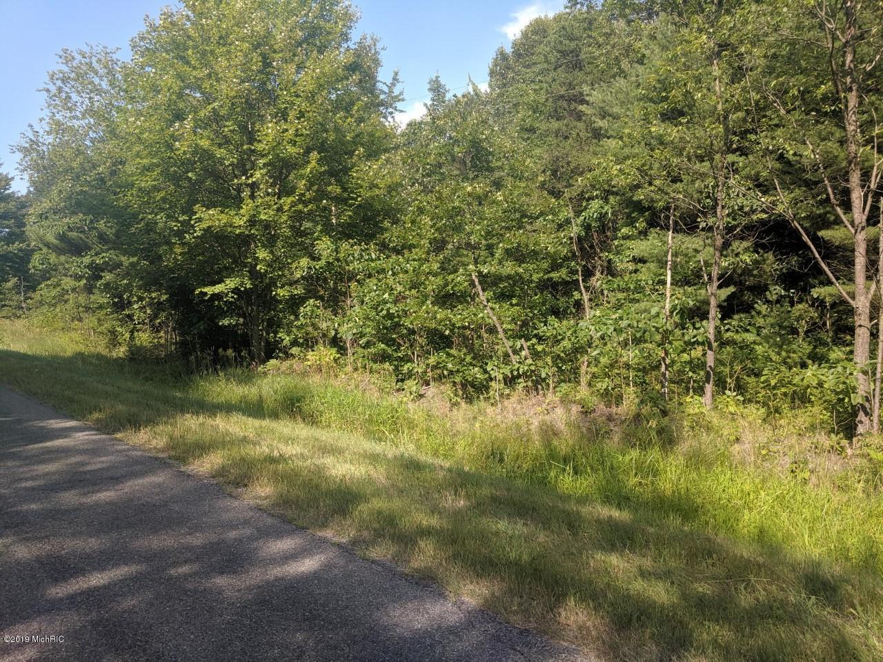 VL Lorenson Road - Photo 1