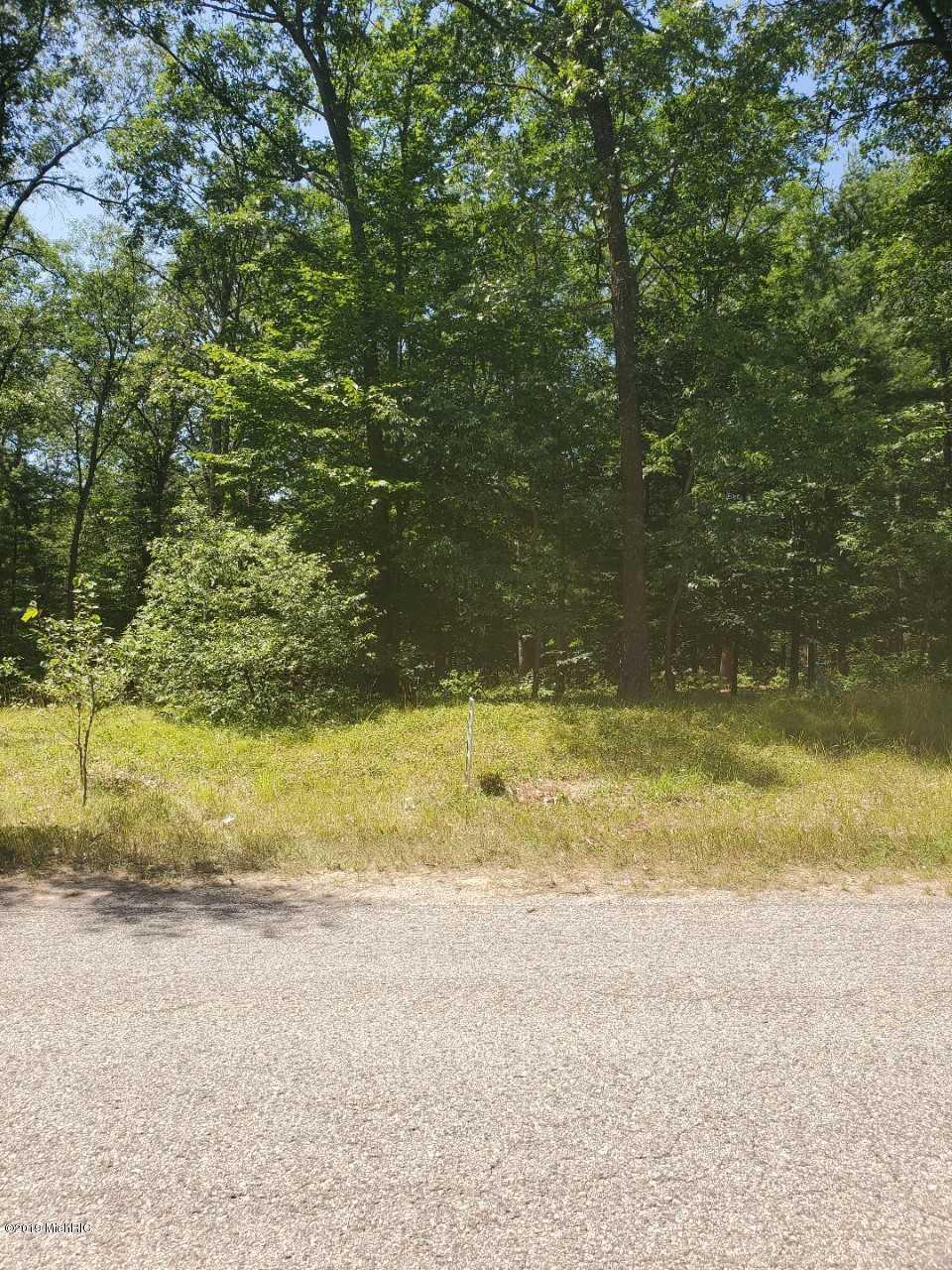 0 Danc Drive - Photo 1