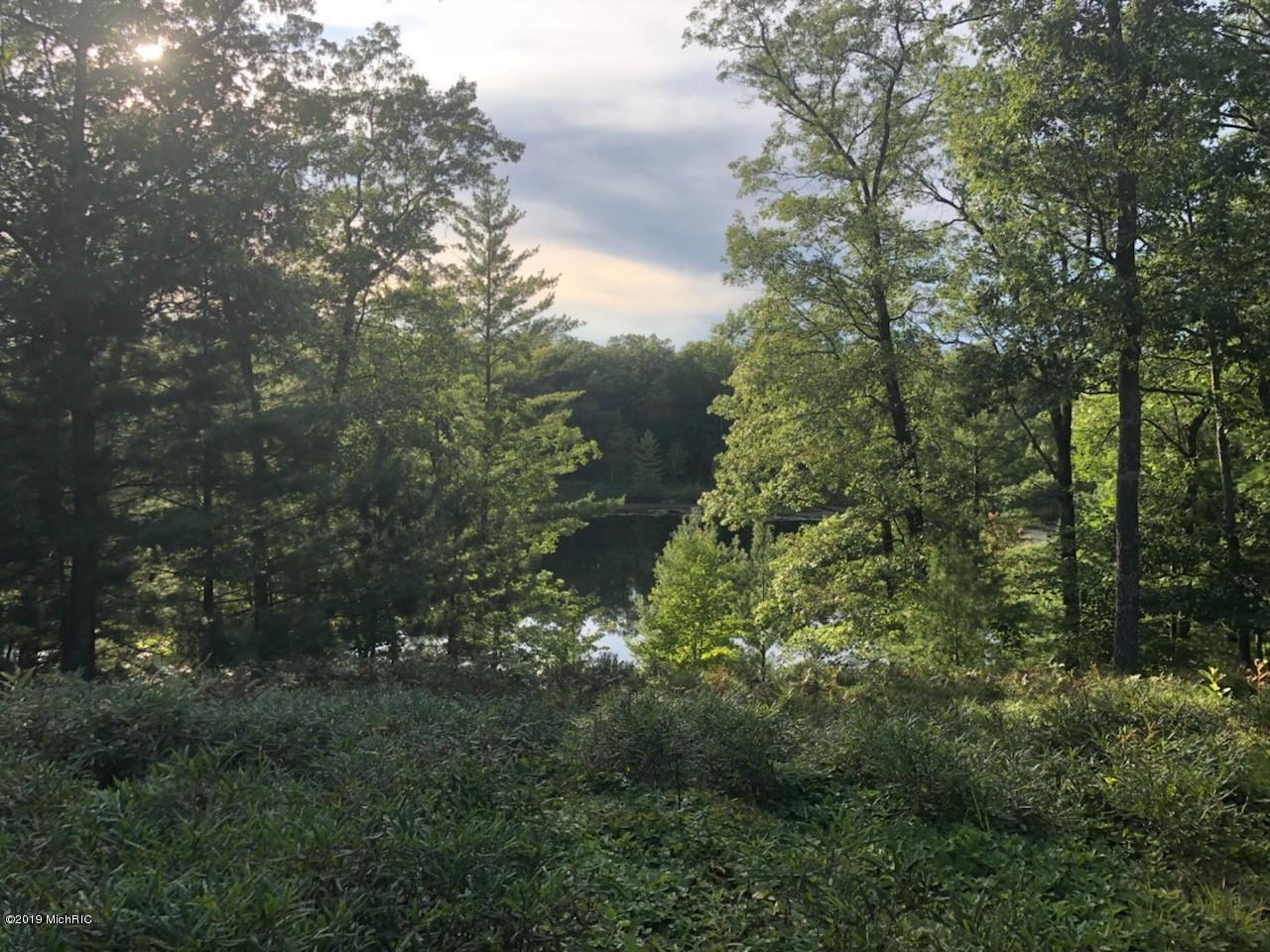 8205 Perch Lake Drive - Photo 1