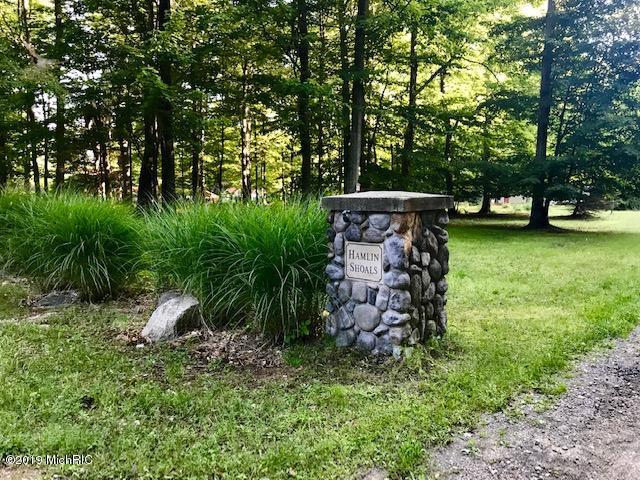 Hamlin Shoals Lane - Photo 1