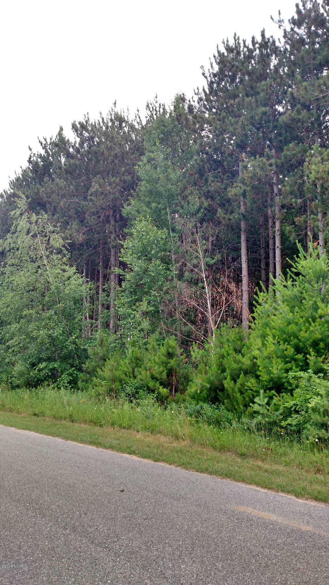 White Birch Drive - Photo 1