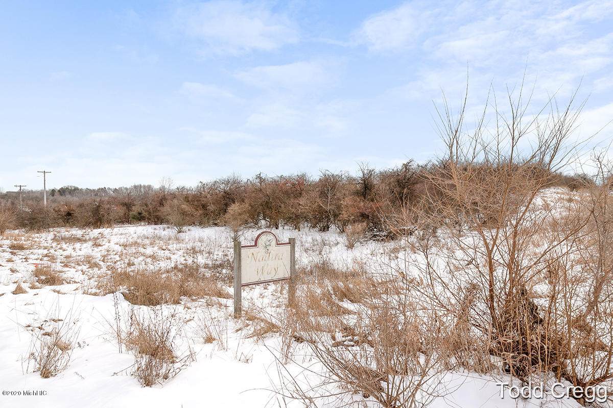 10557 County Line Road - Photo 1