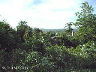 0 Woodridge Drive - Photo 1