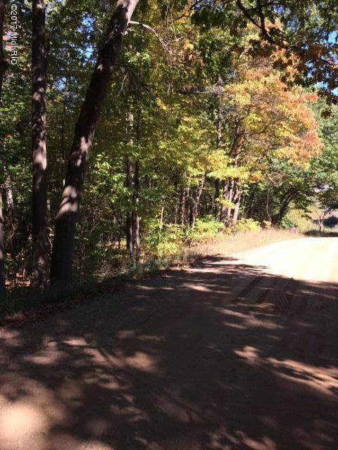 15 Ac 4 Mile Road - Photo 1 15 Ac 4 Mile Road - Photo 1