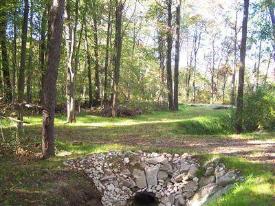 Berrien Street - Photo 1