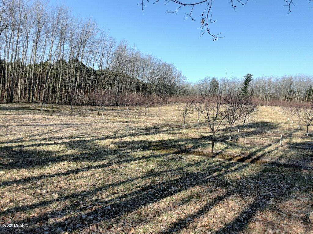 17.21 A 40th Avenue - Photo 1