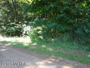 Twin Shores Road - Photo 1