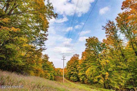 000 White Road - Photo 1