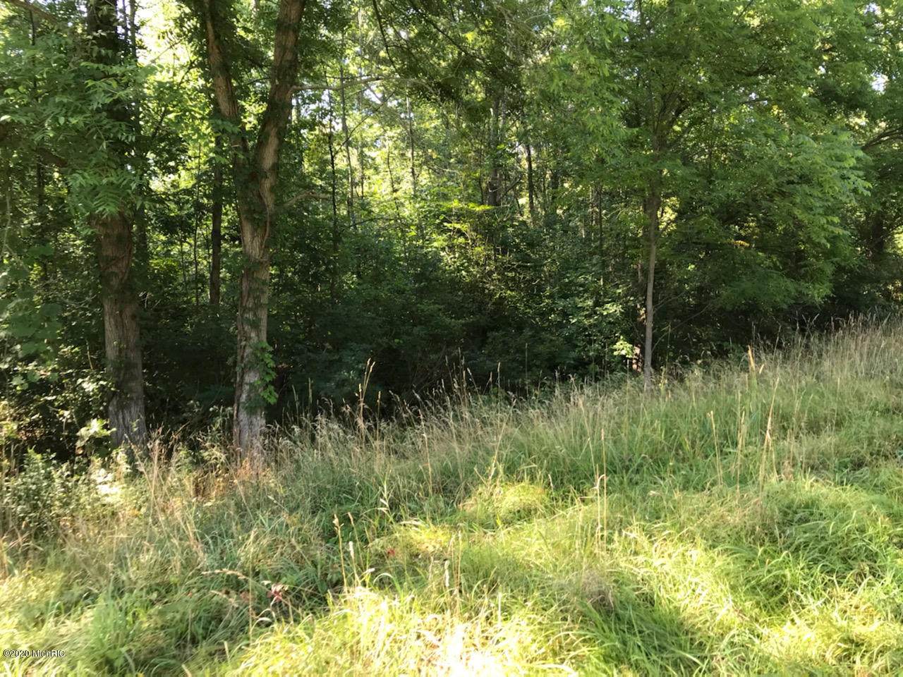 37111 Paw Paw Road - Photo 1