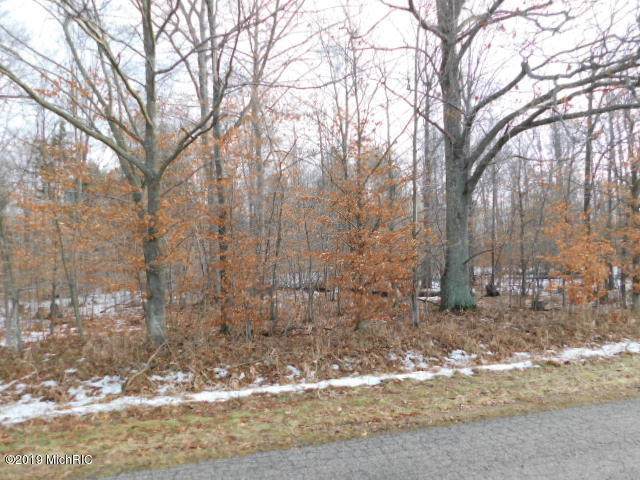 V/L Fisk Road - Photo 1