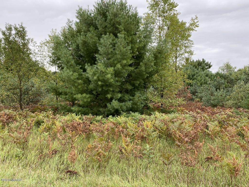 E Loop Road - Photo 1