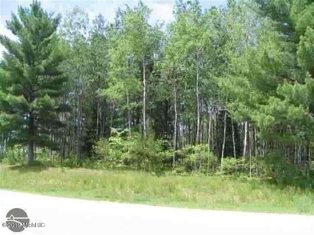 0 White Pine Drive - Photo 1