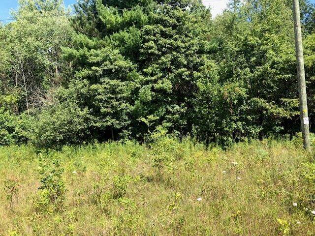 7733 Filmore Street - Photo 1