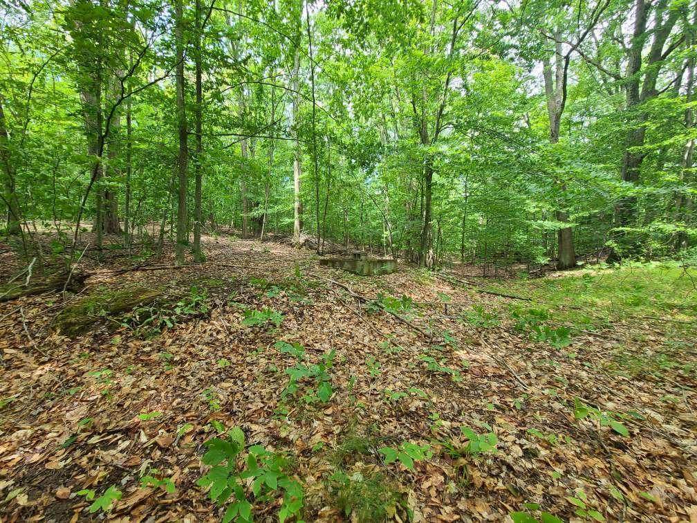 112 Logging Trail - Photo 1