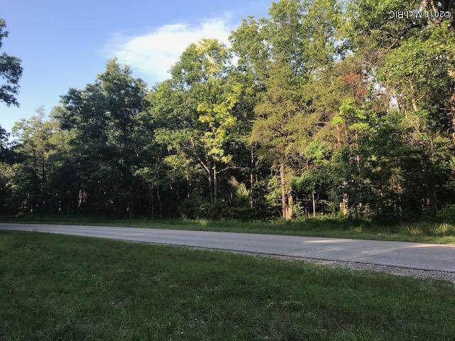 6.8 Acres-Vacant Lan W Of Walhalla/Barothy Road V/L - Photo 1