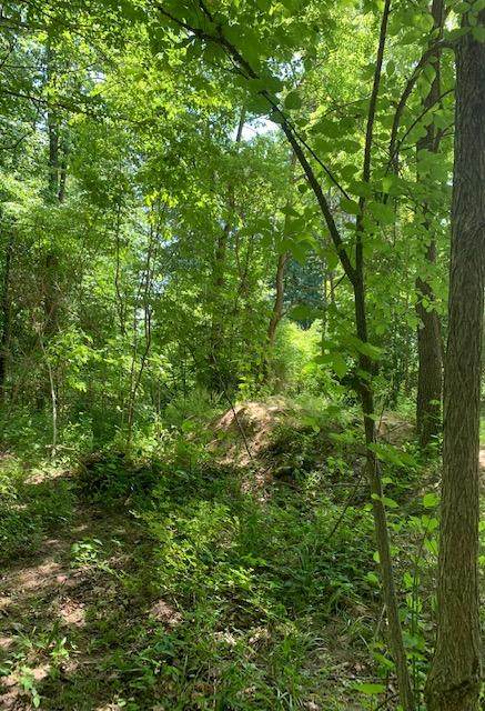 1286 Maner Road - Photo 1