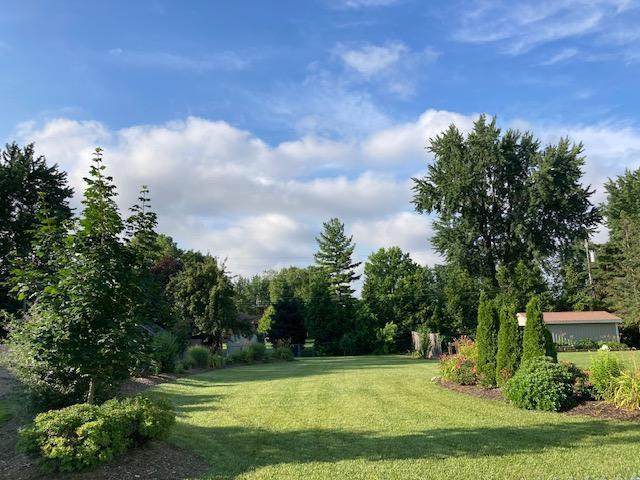 8070 Ogden Drive - Photo 1