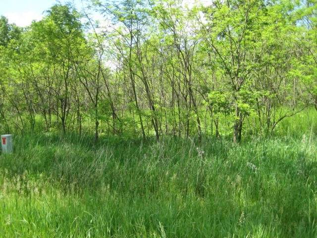 0 M-52 - Photo 1