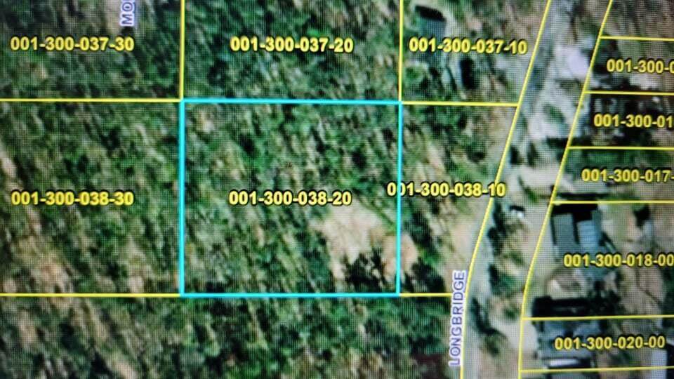 Lots 38 B and 39 B Mohawk Street - Photo 1