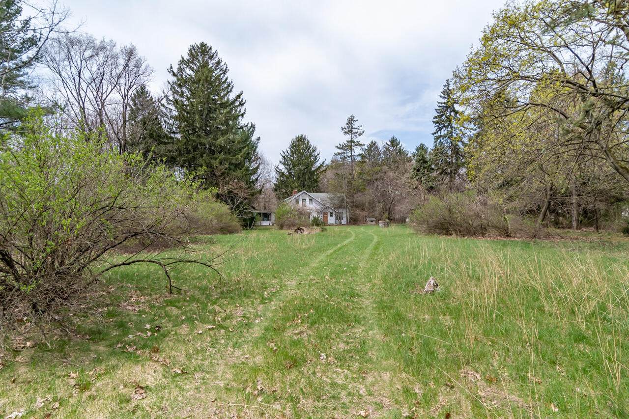 3966 Red Arrow Highway - Photo 1