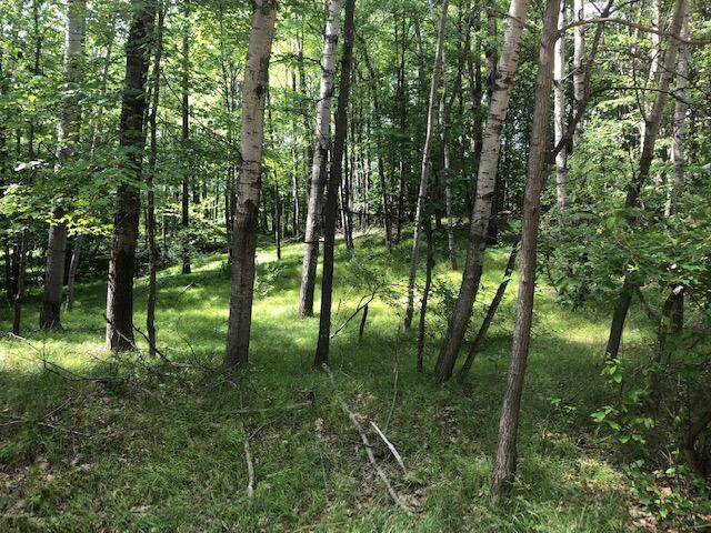 11992 Cheyenne Wells Trail - Photo 1