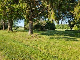 6473 Lett Road - Photo 1