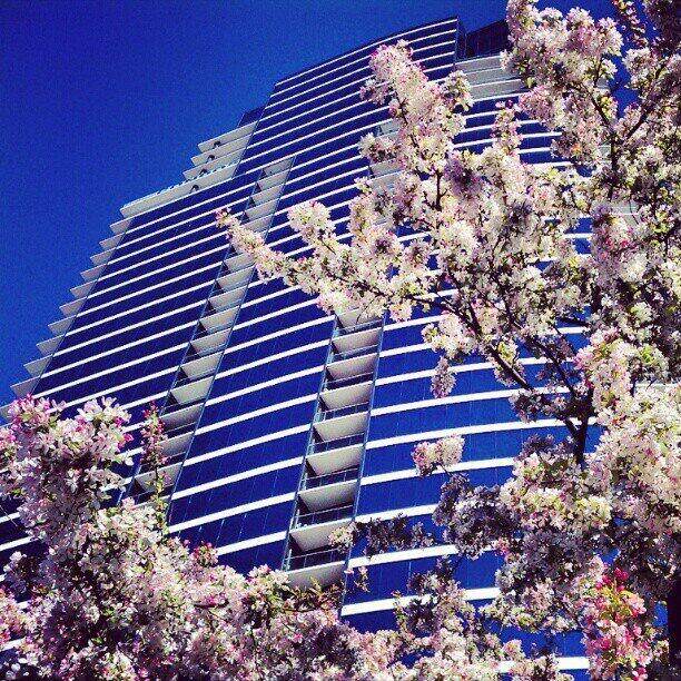 335 Bridge Street - Photo 1