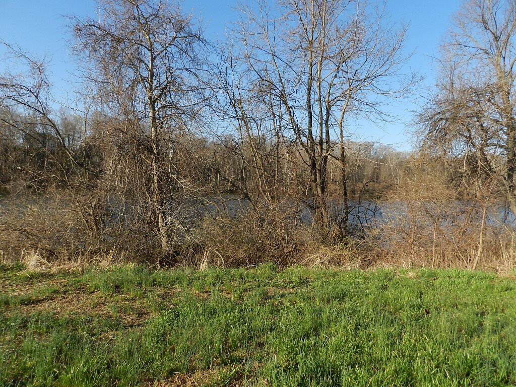 520 Swan River Drive - Photo 1