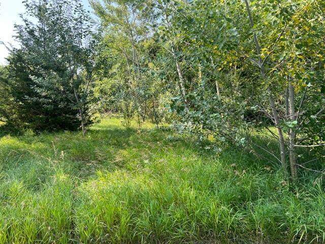 153 Riviera Drive - Photo 1