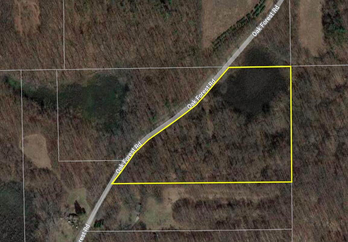 VL Oak Forest Road - Photo 1