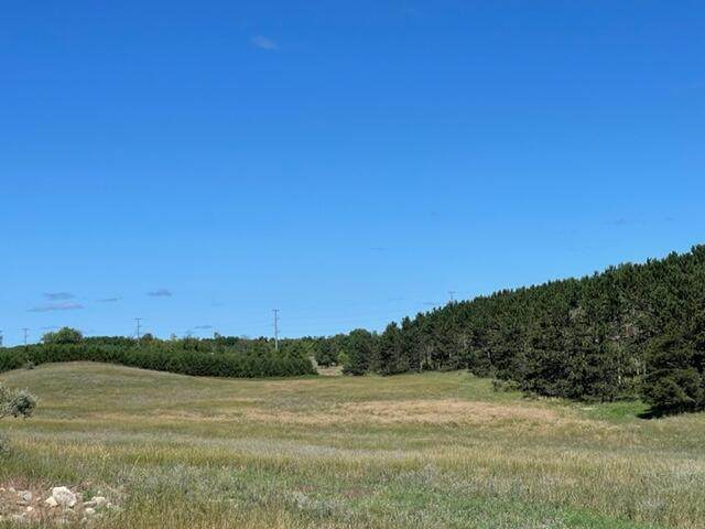 37 +/- Acres 2 Mile Rd Road - Photo 1
