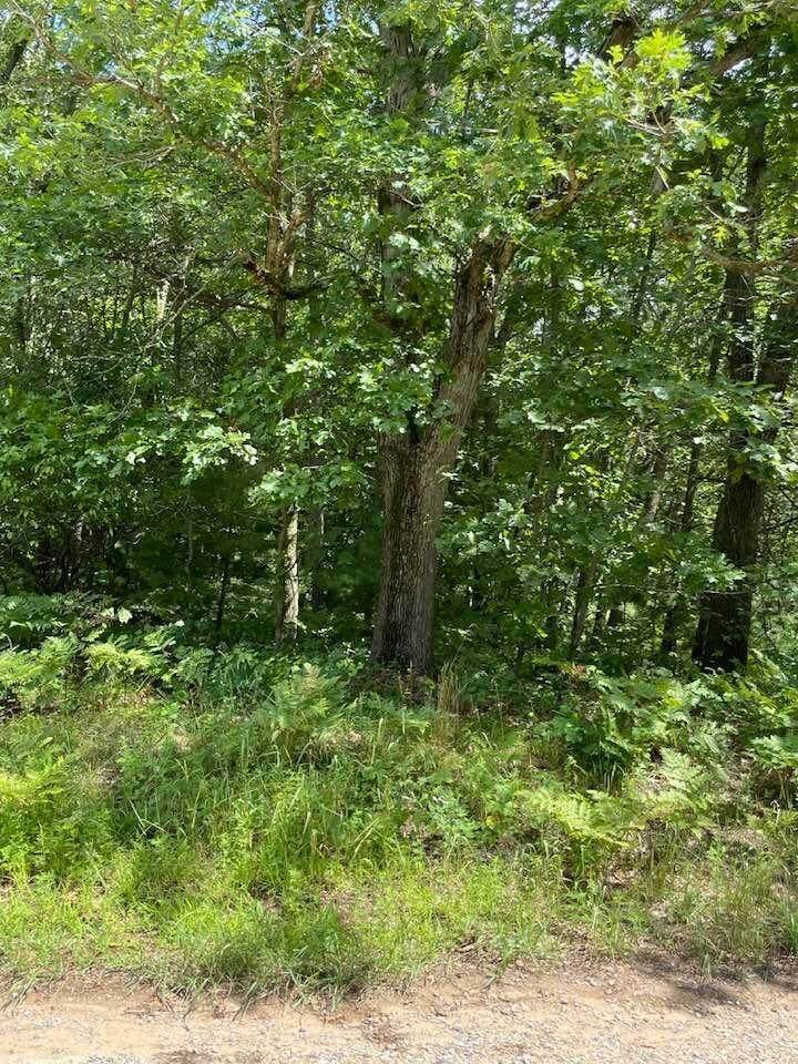 139-lot Seneca - Photo 1