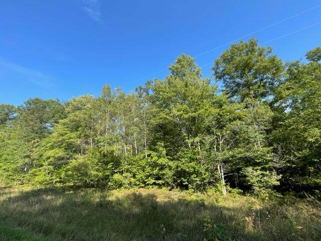 20 Acres Vacant Land Frank Smith Road - Photo 1