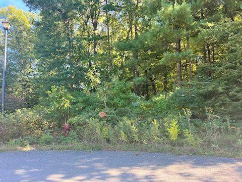 1539 Destiny Drive - Photo 1