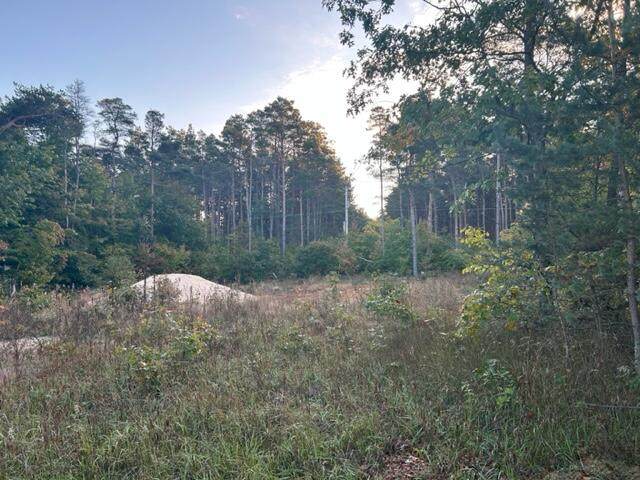 TBD 90th Avenue - Photo 1