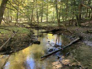 00 State Road - Photo 1