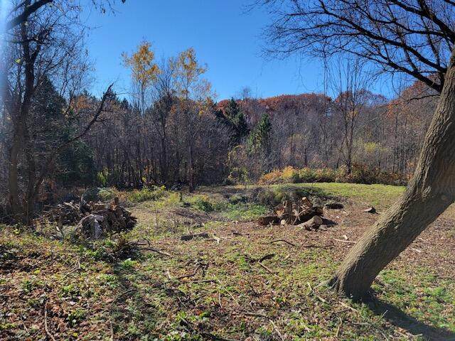 3910 10 Mile Road - Photo 1