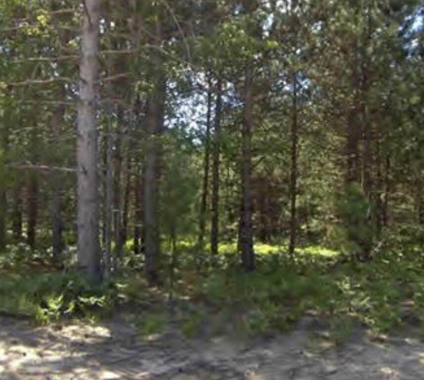 13 Bergstrom Drive - Photo 1