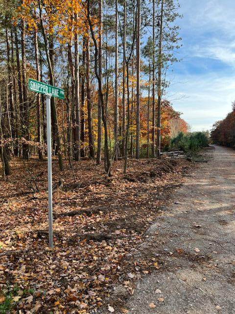 0 Skipper Lane - Photo 1