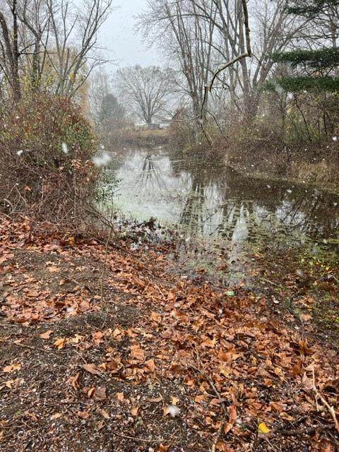 58684 Ash Road - Photo 1