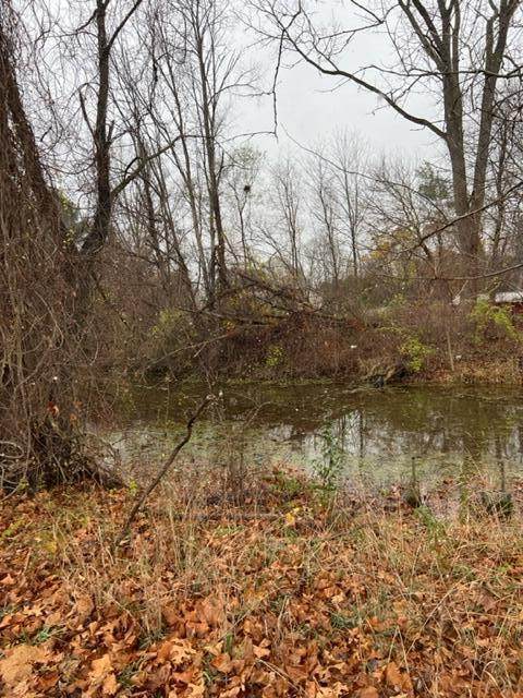 58670 Ash Road - Photo 1