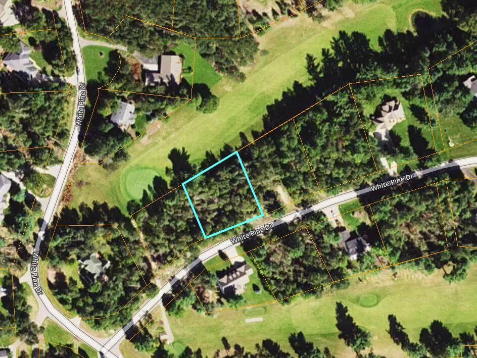 Lot 29 White Pine Drive - Photo 1